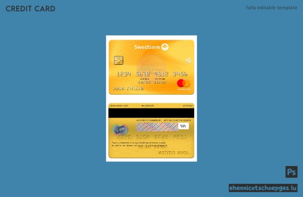 Beispielvorschau der Swedbank Mastercard Litauen